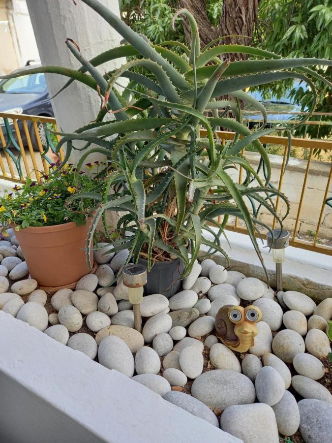 Alexandros Cosy House For Family Vacation Apartment Chania  Exterior photo